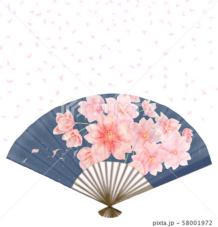 満開の桜が描かれた濃紺の扇子と桜吹雪 日本の和雑貨のイラスト素材