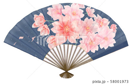 満開の桜が描かれた濃紺の扇子 日本の和雑貨 のイラスト素材 [58001973