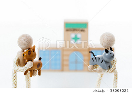 ペット 動物病院 病院 ペット 動物病院 病院 58003022