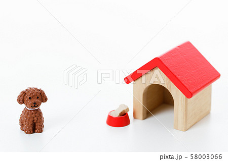 ペット　犬 58003066
