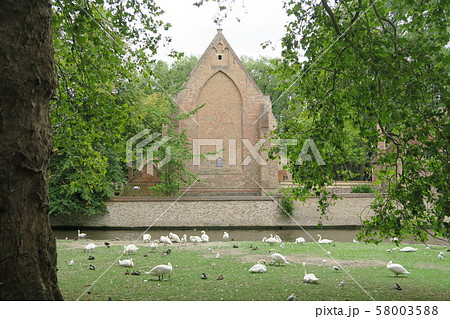 世界遺産 ベギン会修道院と愛の湖公園 世界遺産 ベギン会修道院と愛の湖公園 58003588