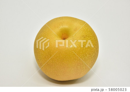 梨・秋甘泉 58005023