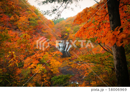 (茨城県)生瀬の滝 紅葉 (茨城県)生瀬の滝 紅葉 58006969