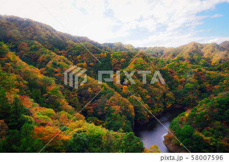 茨城県 竜神大吊橋 紅葉の写真素材