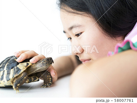 女の子とペットのヘルマンリクガメ 58007761