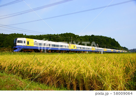 色付く稲穂と房総特急しおさい 58009064