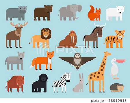 Zoo animals flat icons Zoo animals flat icons 58010913