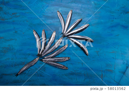 Fish pattern A group of anchovies is floating on a 58013562