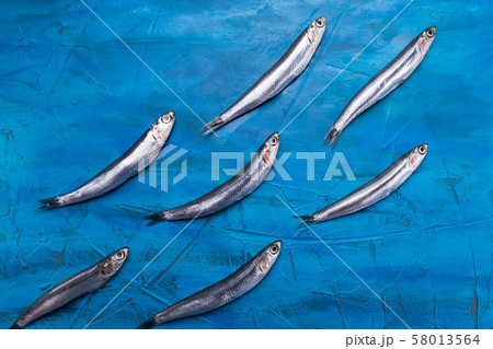 Fish pattern. Anchovies are swimming on a blue sea 58013564