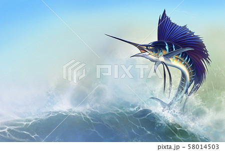 Sailfish fish on white. Striped big marlin. 58014503