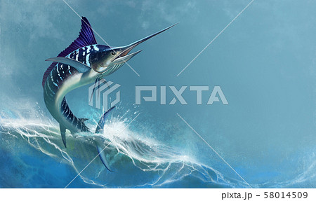 striped marlin on sea, fish sword. Realistic isolated illustration. 58014509