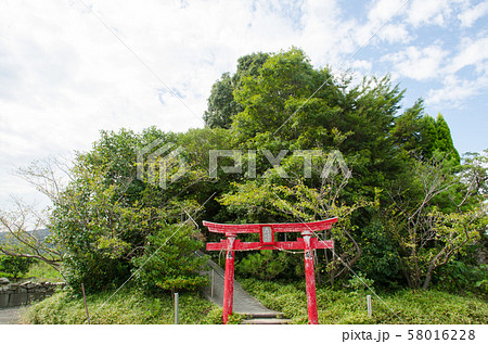 弁天山 58016228