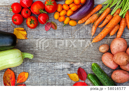 Assortment different fresh organic vegetables on 58016577