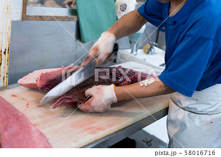 マグロの解体 58016716