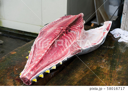 マグロの解体 マグロの解体 58016717