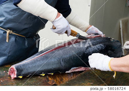 マグロの解体 58016724