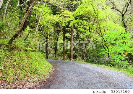 帝釈峡 帝釈峡 58017160