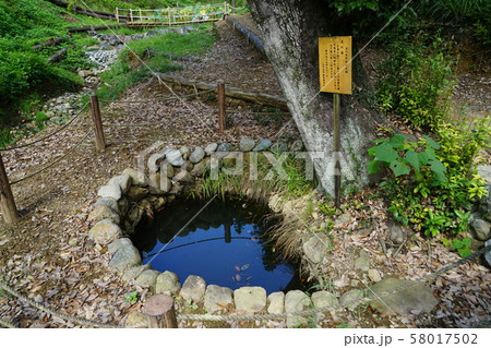 9月　日の出町24鹿の湯・鹿野大仏･西多摩 58017502