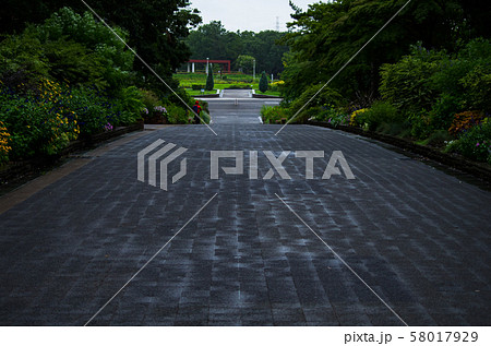 雨の服部緑地 58017929