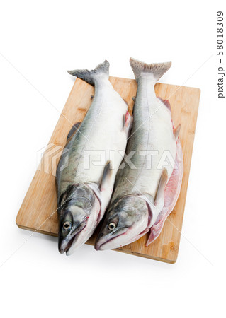 Pink Salmon Pink Salmon 58018309