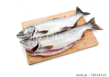 Pink Salmon 58018310