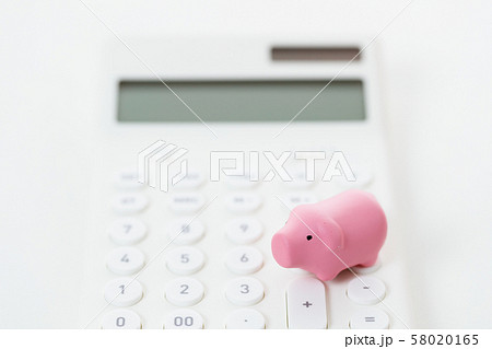 家計　節約　金融　お金　家計簿 58020165