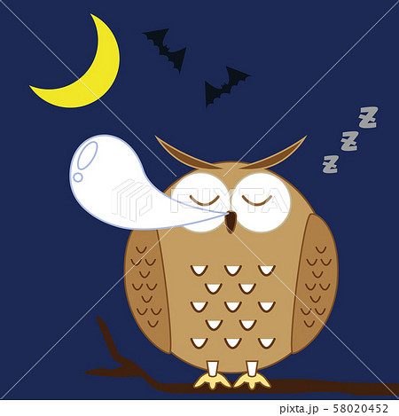 すやすや眠るフクロウ 58020452