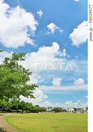 爽やかな青空の公園 58020477