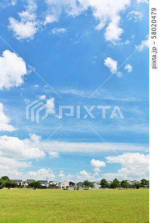 爽やかな青空の公園 爽やかな青空の公園 58020479