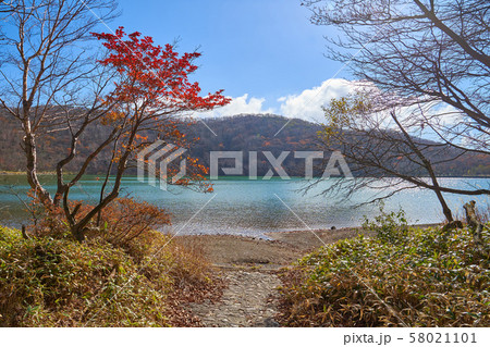 秋の群馬県赤城山の小沼北側湖畔から南東側(長七郎山方面)を見る 秋の群馬県赤城山の小沼北側湖畔から南東側(長七郎山方面)を見る 58021101