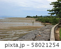 マングローブのある風景 58021254