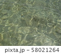 綺麗な海 58021264