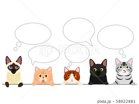 猫のボーダー 吹き出しのイラスト素材