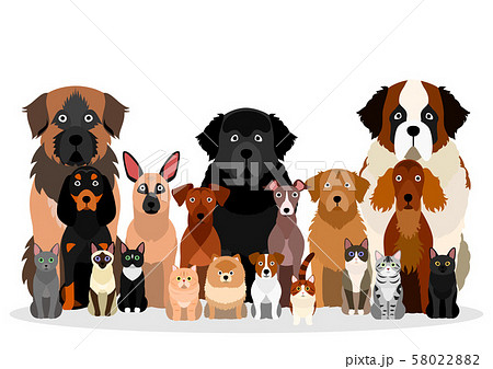 さまざまな犬と猫のグループ 58022882