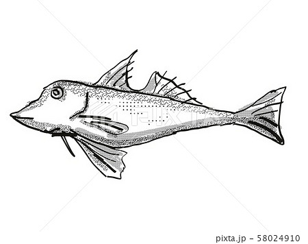 Red Gurnard New Zealand Fish Cartoon Retro Drawing Red Gurnard New Zealand Fish Cartoon Retro Drawing 58024910