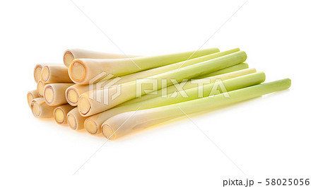 lemon grass isolated on white background 58025056