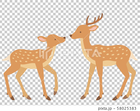 向かい合う鹿のペアのイラストのイラスト素材 58025383 Pixta