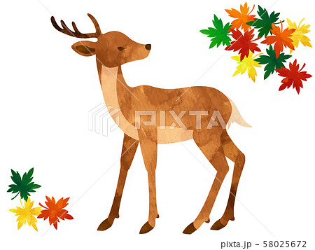 鹿と紅葉の水彩風イラストのイラスト素材