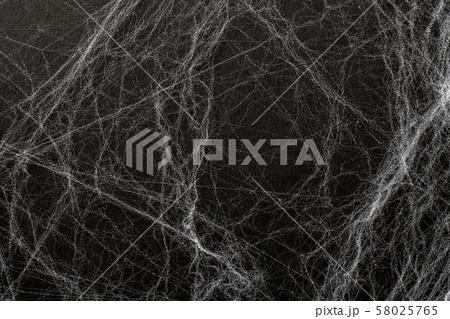 Artificial cobweb or spaider web on a black Artificial cobweb or spaider web on a black 58025765
