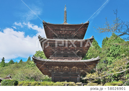 【長等山 園城寺 (三井寺) 三重塔】 滋賀県大津市園城寺町 【長等山 園城寺 (三井寺) 三重塔】 滋賀県大津市園城寺町 58026901