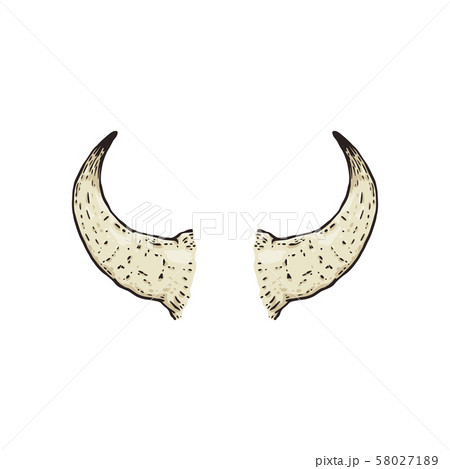 Buffalo hand drawn horns the cartoon vector illustration isolated on background. 58027189