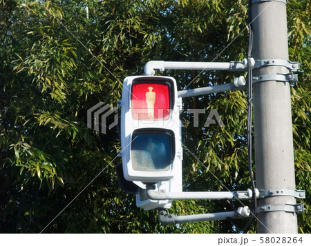 赤信号 58028264