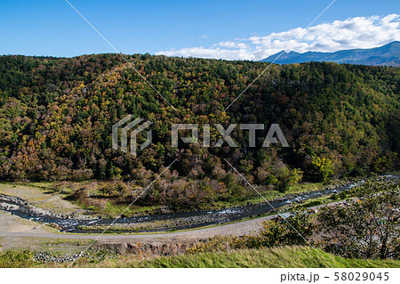 秋の知床　朝の紅葉の岩尾別（北海道・斜里町・岩尾別） 58029045