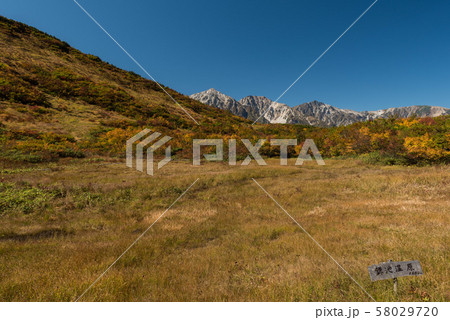 黒菱平から白馬三山を望む_秋 58029720