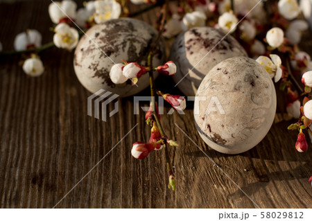 Paschal colored eggs in the nest. Easter decoration 58029812