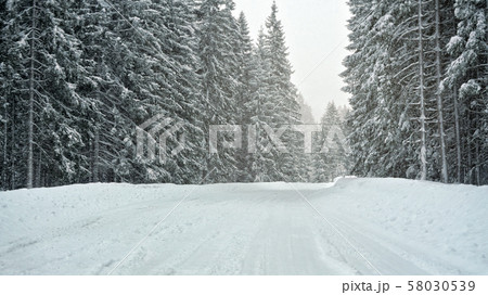 Forest road completely covered with snow in winter, trees on both sides. Slippery ground - dangerous 58030539