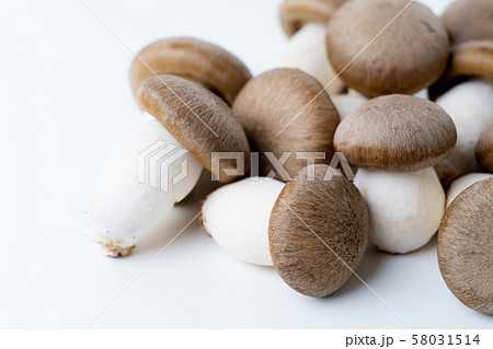 大黒本しめじ 58031514