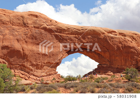 アーチーズ国立公園 ウインドーズセクション　ユタ州　アメリカ 58031908