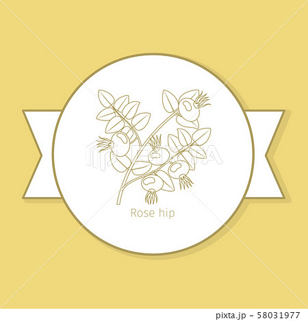 Rose hip medicine plant yellow label Rose hip medicine plant yellow label 58031977
