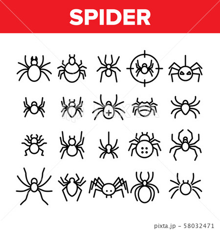 Spider Silhouette Collection Icons Set Vector 58032471